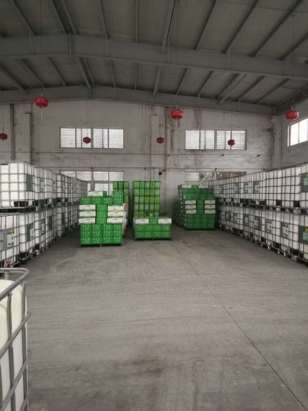 China Shenzhen Taiqiang Investment Holding Co., Ltd Perfil de la compañía
